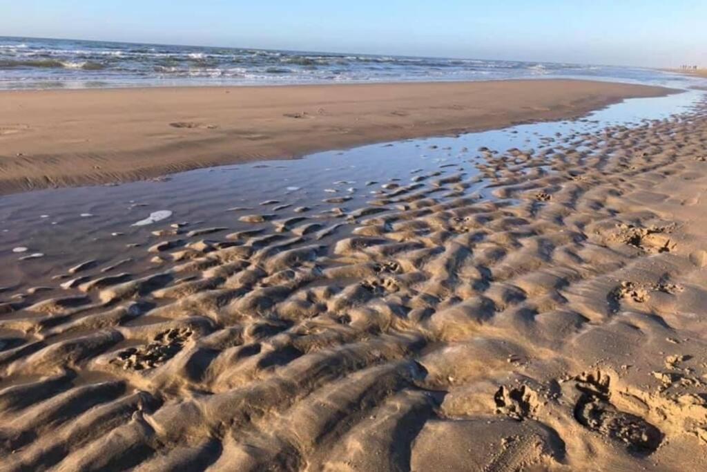 Blue Beach House 350 Meters From Sea Noordwijk Ngoại thất bức ảnh